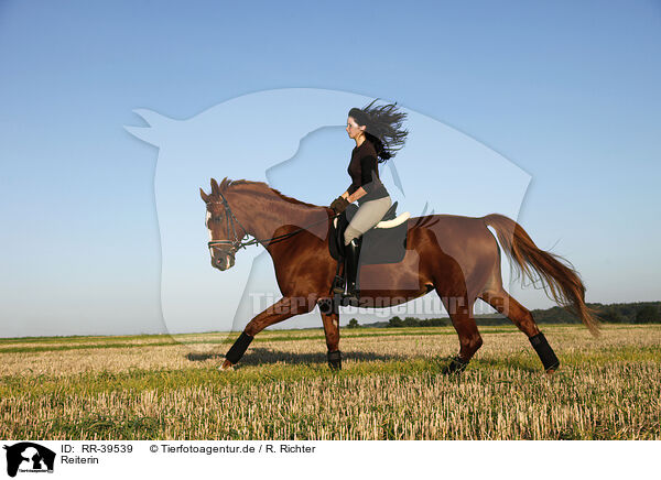 Reiterin / riding woman / RR-39539