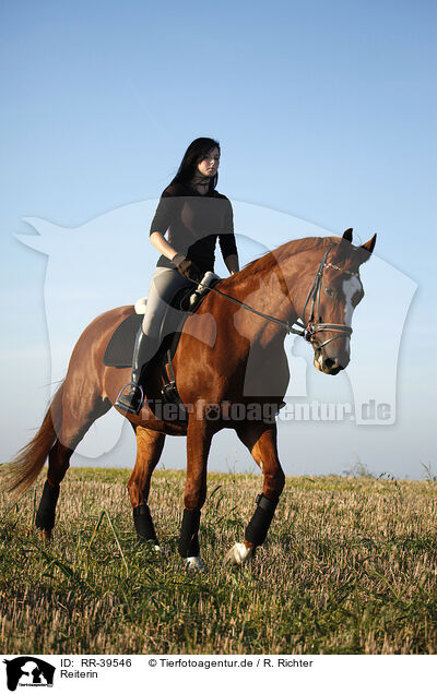 Reiterin / riding woman / RR-39546