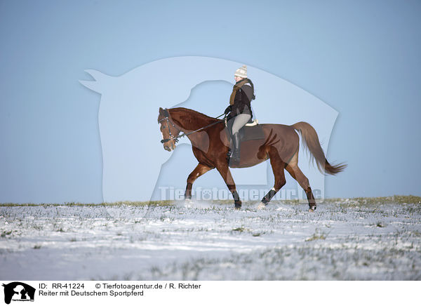 Reiter mit Deutschem Sportpferd / RR-41224