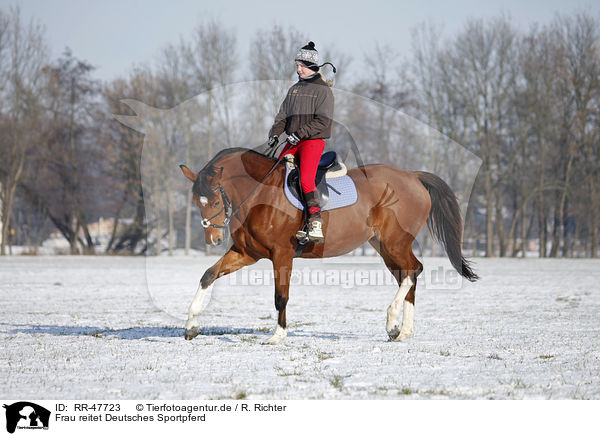 Frau reitet Deutsches Sportpferd / RR-47723