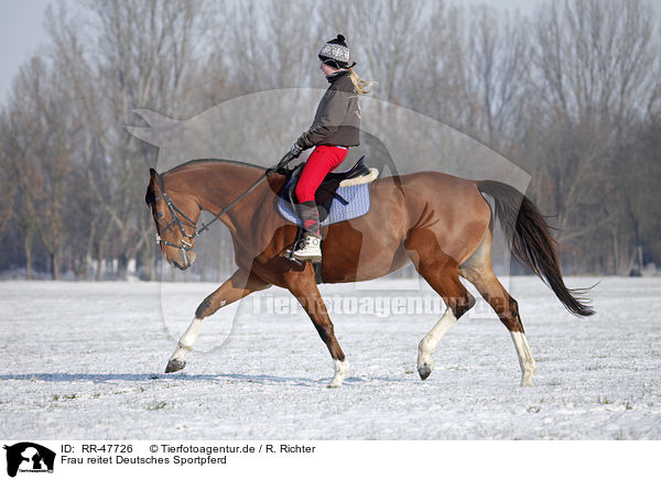 Frau reitet Deutsches Sportpferd / RR-47726