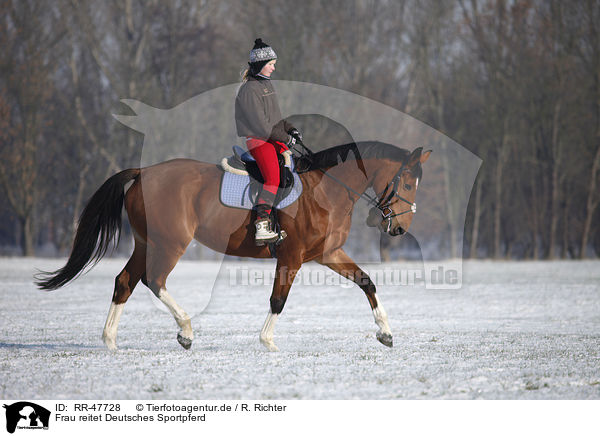 Frau reitet Deutsches Sportpferd / RR-47728