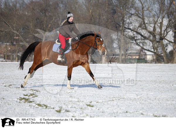 Frau reitet Deutsches Sportpferd / woman rides warmblood / RR-47743