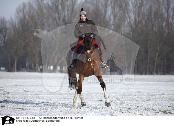 Frau reitet Deutsches Sportpferd / woman rides warmblood / RR-47748