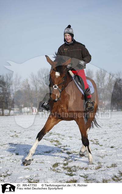 Frau reitet Deutsches Sportpferd / RR-47750
