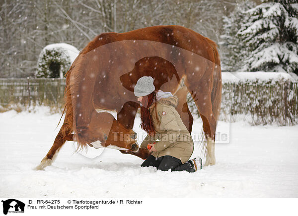 Frau mit Deutschem Sportpferd / woman with german sport horse / RR-64275