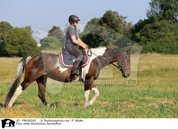 Frau reitet Deutsches Sportpferd / woman rides German Sport Horse / PM-06342