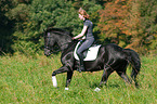 Frau reitet Deutsches Sportpferd