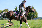 Frau reitet Deutsches Sportpferd