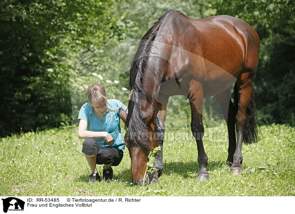 Frau und Englisches Vollblut / RR-53485