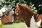 Frau und Falabella Fohlen