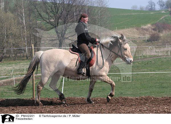 Freizeitreiten / riding woman / PM-02201