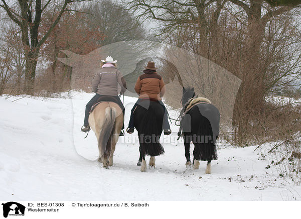 Westernreiten / BES-01308