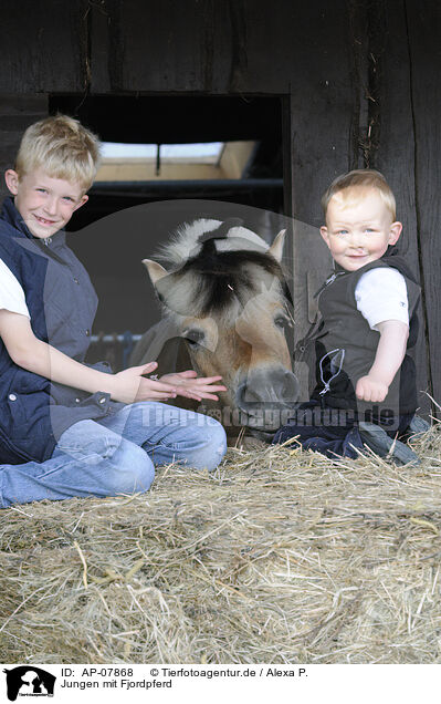 Jungen mit Fjordpferd / boys with Fjord / AP-07868