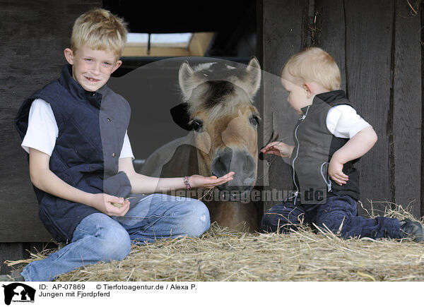 Jungen mit Fjordpferd / AP-07869