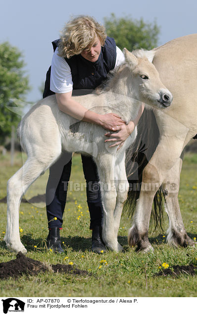 Frau mit Fjordpferd Fohlen / woman with Fjord foal / AP-07870