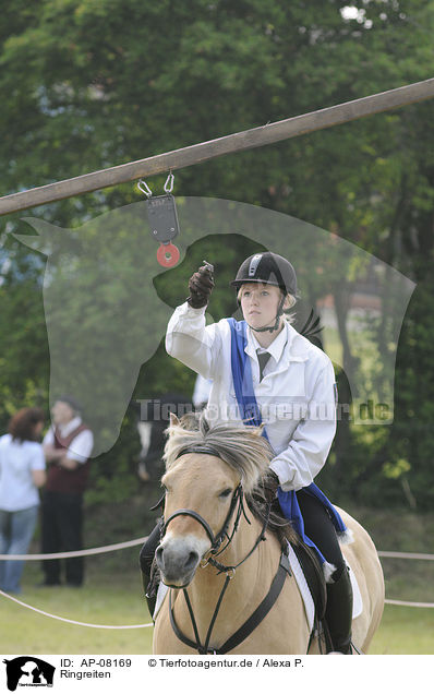 Ringreiten / riding / AP-08169
