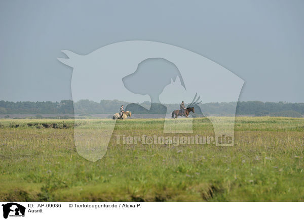 Ausritt / riding / AP-09036