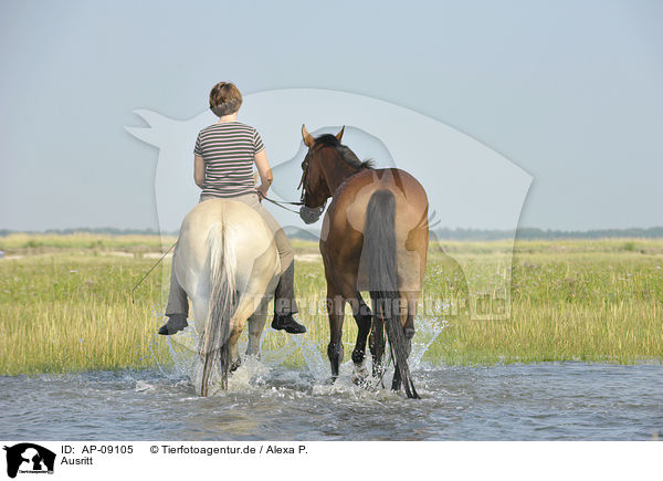 Ausritt / riding / AP-09105