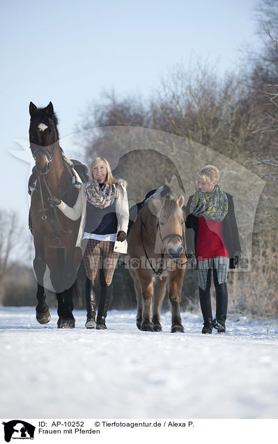 Frauen mit Pferden / AP-10252