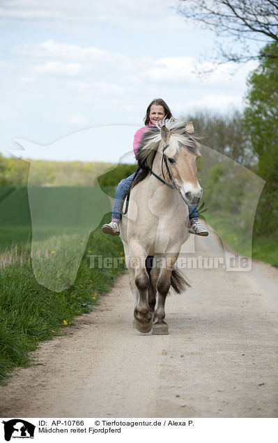 M�dchen reitet Fjordpferd / girl rides Fjord horse / AP-10766