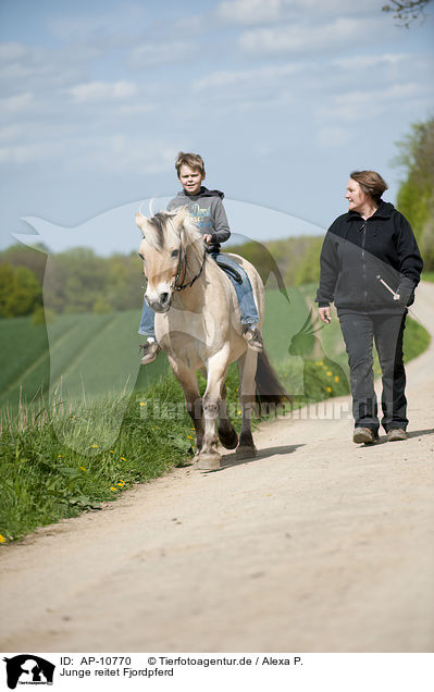 Junge reitet Fjordpferd / boy rides Fjord horse / AP-10770