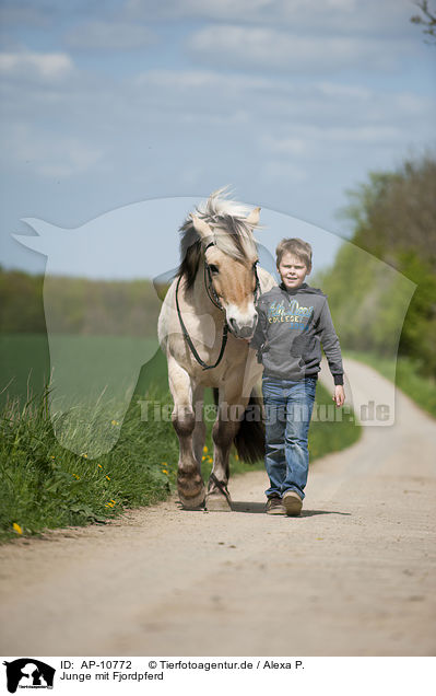 Junge mit Fjordpferd / AP-10772