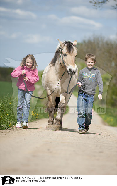 Kinder und Fjordpferd / kids and Fjord horse / AP-10777