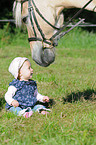 Kleinkind mit Fjordpferd