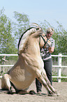 Frau mit Fjordpferd