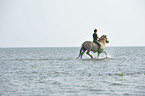 Frau reitet Fjordpferd