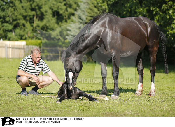 Mann mit neugeborenem Fohlen / man with newborn foal / RR-61615