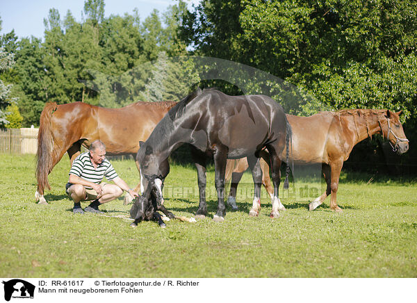 Mann mit neugeborenem Fohlen / man with newborn foal / RR-61617