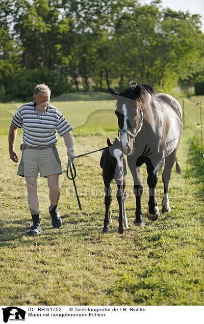 Mann mit neugeborenem Fohlen / man with newborn foal / RR-61752