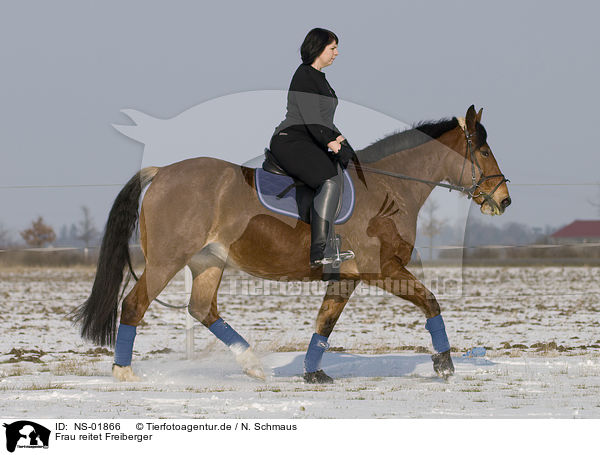 Frau reitet Freiberger / woman rides horse / NS-01866