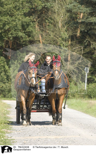 Gespannfahren / TM-02408