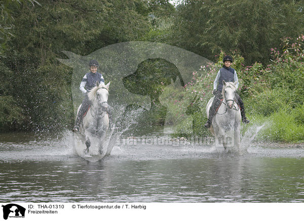 Freizeitreiten / riding / THA-01310