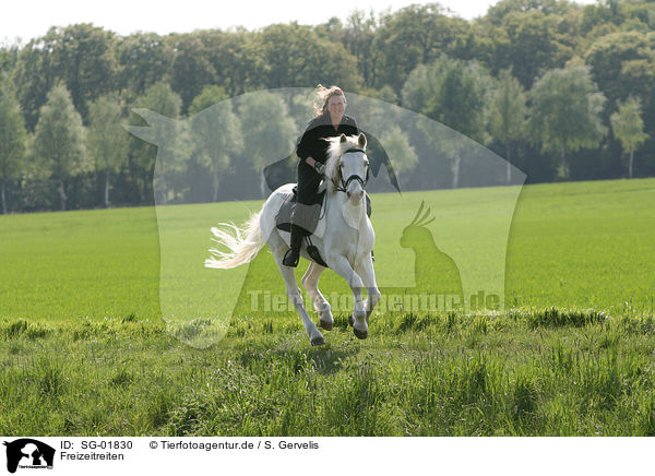 Freizeitreiten / riding woman / SG-01830