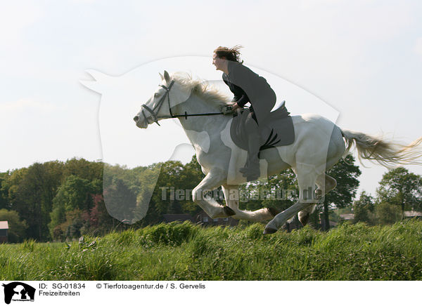 Freizeitreiten / SG-01834