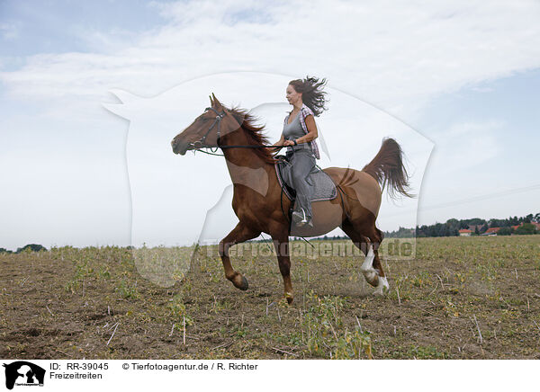 Freizeitreiten / riding woman / RR-39045