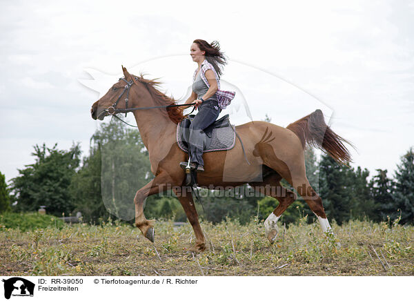 Freizeitreiten / riding woman / RR-39050