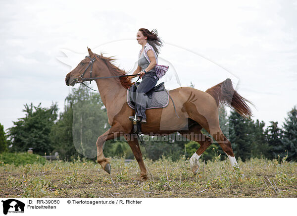 Freizeitreiten / riding woman / RR-39050