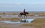 Reiter am Strand