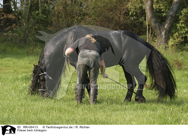 Friese bein hinlegen / RR-06413