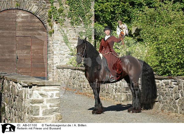 Reiterin mit Friese und Bussard / horsewoman with friesian horse and hawk / AB-01100