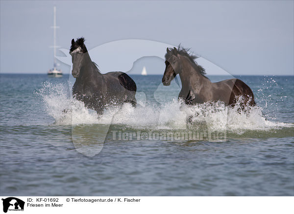 Friesen im Meer / KF-01692