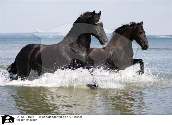 Friesen im Meer / KF-01694