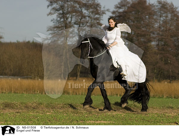 Engel und Friese / angel and friesian horse / NS-01508