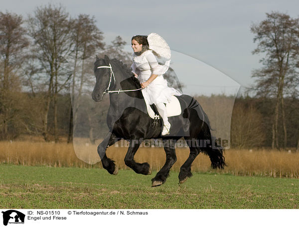 Engel und Friese / angel and friesian horse / NS-01510