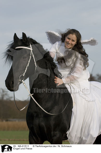 Engel und Friese / angel and friesian horse / NS-01511